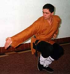 Technika z formy Ching Nien Long Quan