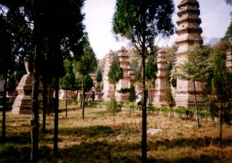 cmentarz   mnichów