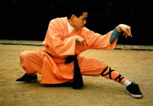 Shaolin Tan Lang Quan